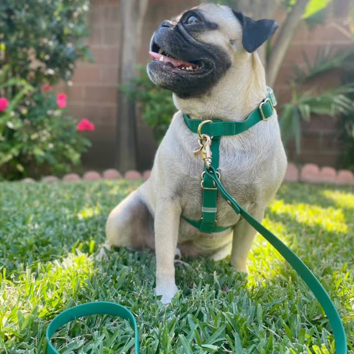 SUNNY TAILS - Wholesale Pet Harness - Dog - Meadow Green Cloud Lite Dog Harness9