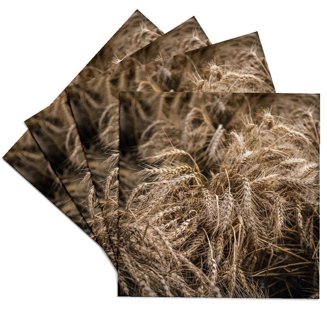 3dRose - Wholesale Onderzetters - 3dRose, Mooie aren van tarwe. Vruchten van de herfstoogst. Thanksgiving-thema, Onderzetter0