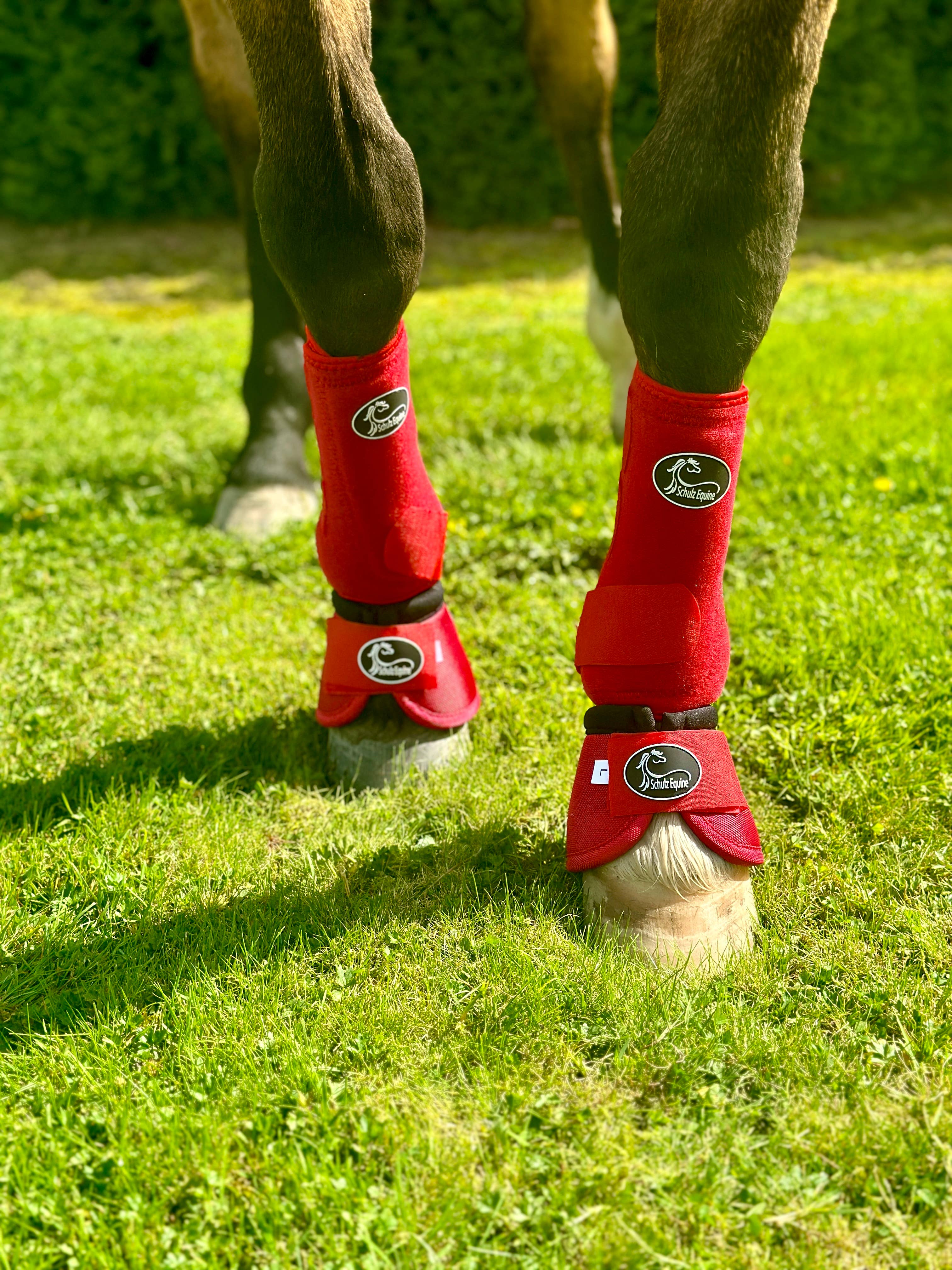 Schulz Equine - Vendita all'ingrosso Attrezzatura da equitazione - Stivali sportivi AirFlow - Confezione da 214