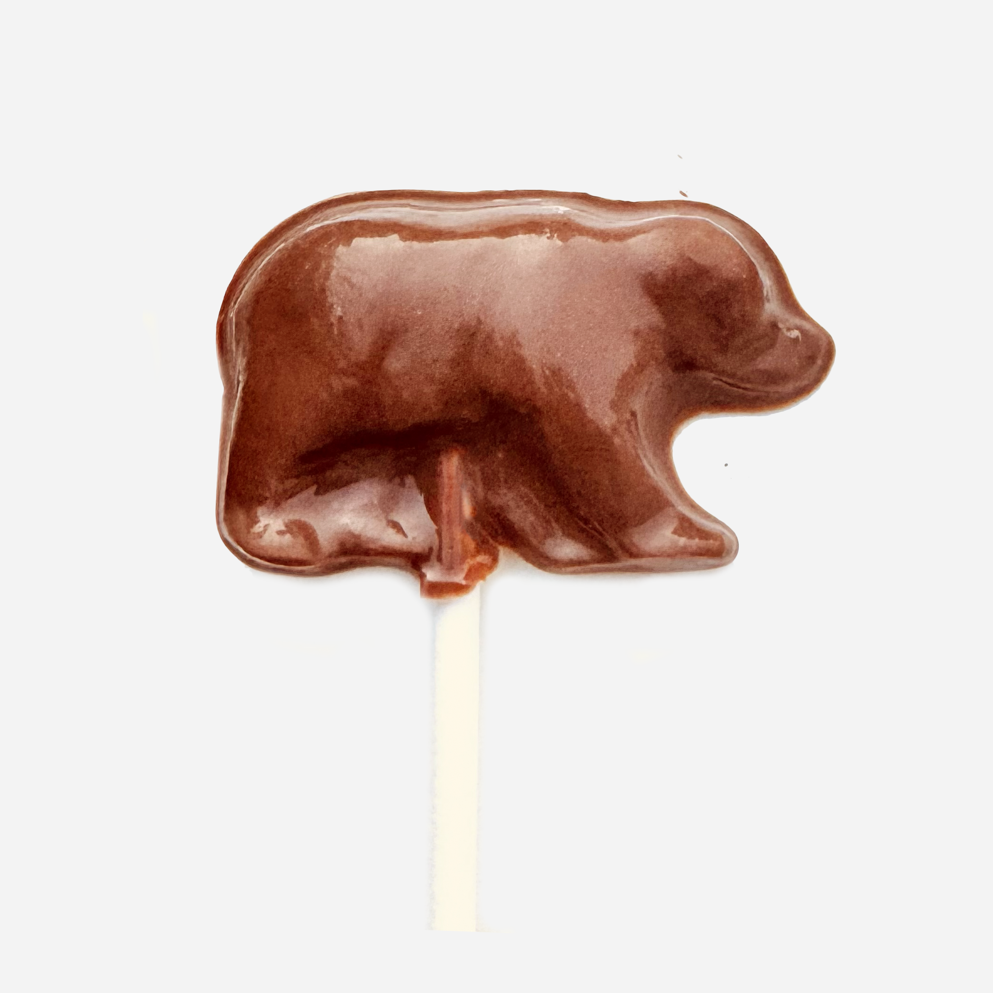 Marilyn & Louise Confections - Wholesale Lollipop - Wild Bear Chocolate Lollipop 24ct0
