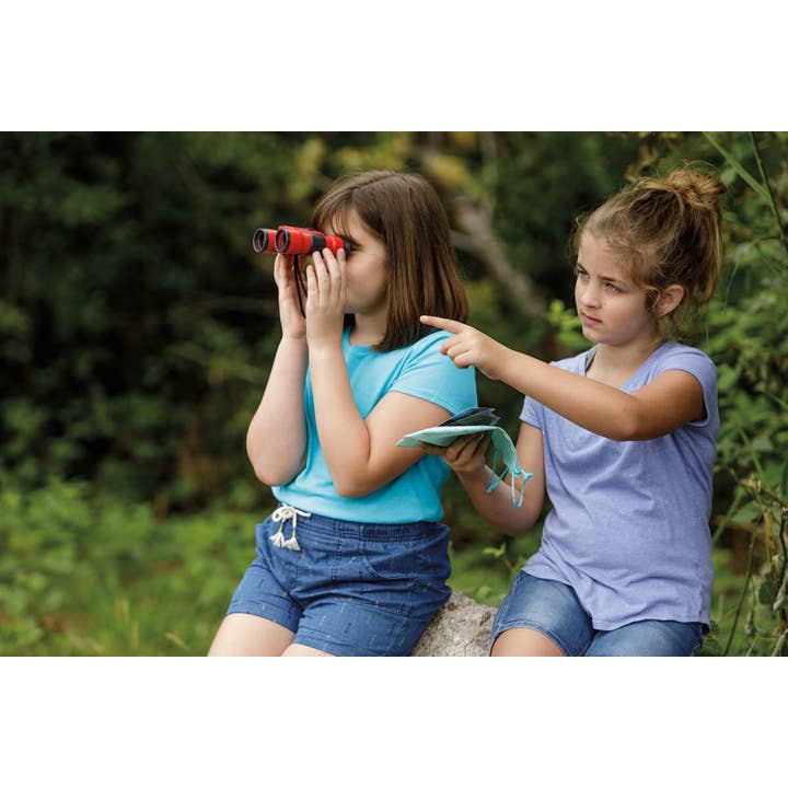 Toysmith - Wholesale Toy Set - Kids - Beetle & Bee Little Birder Set-Bird Watching for Kids3
