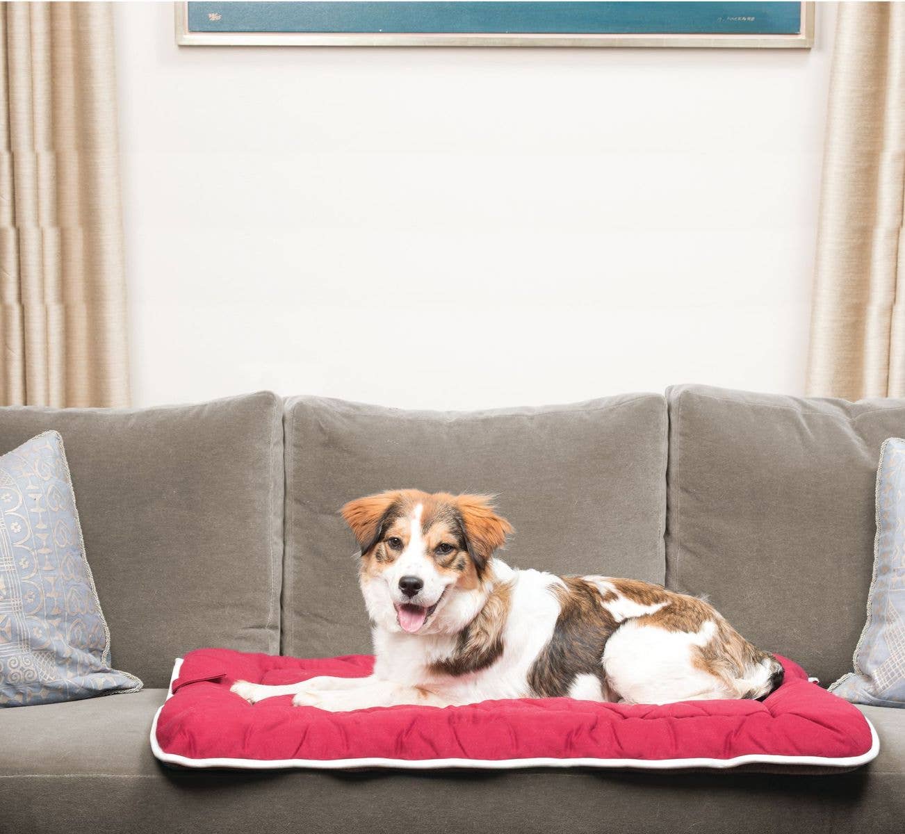 Dog Gone Smart - Wholesale Pet Bed - Dog - Canvas Sleeper Cushion3