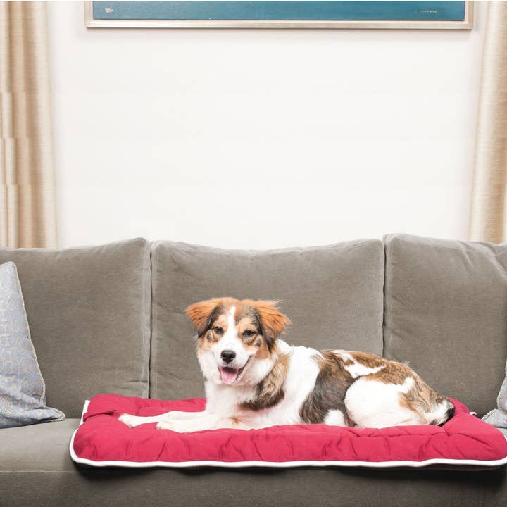 Dog Gone Smart - Wholesale Pet Bed - Dog - Canvas Sleeper Cushion3