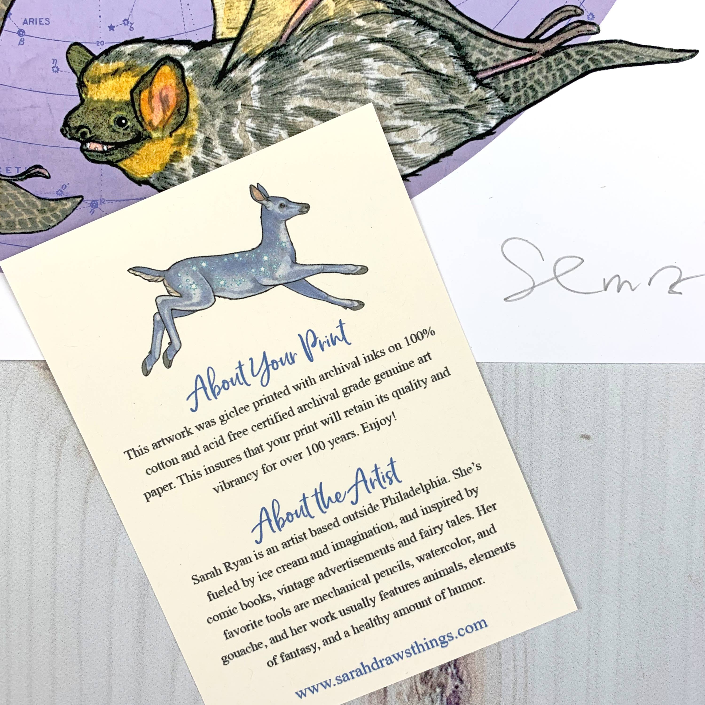 Sarah Draws Things - Wholesale Art Print - Starry Bats - North American Native Bats - Archival Print2