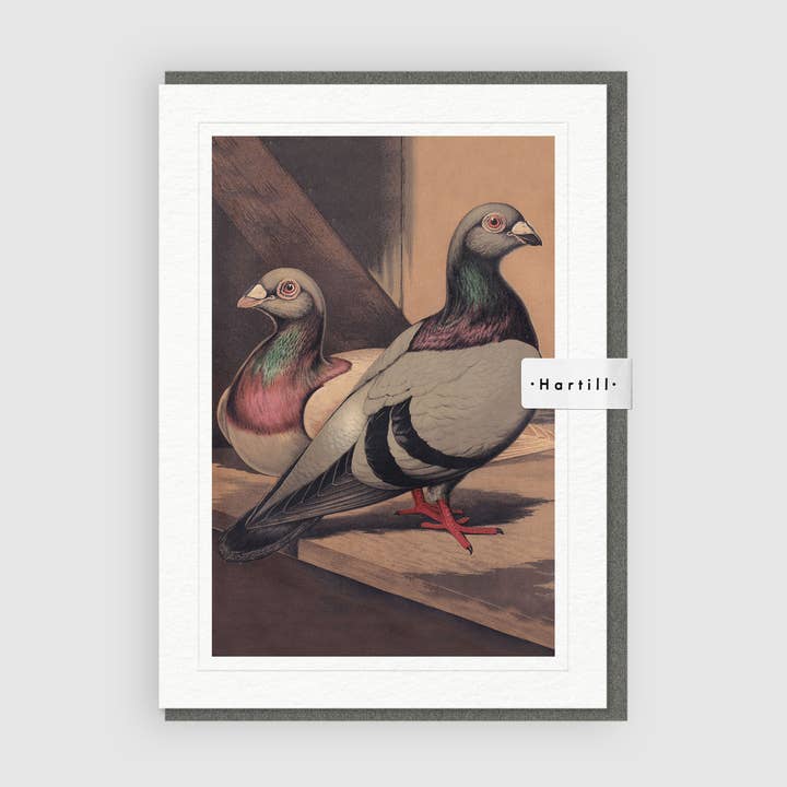 Art Greeting Card Runts Pigeon by J. W. Ludlow for wholesale by Hartill