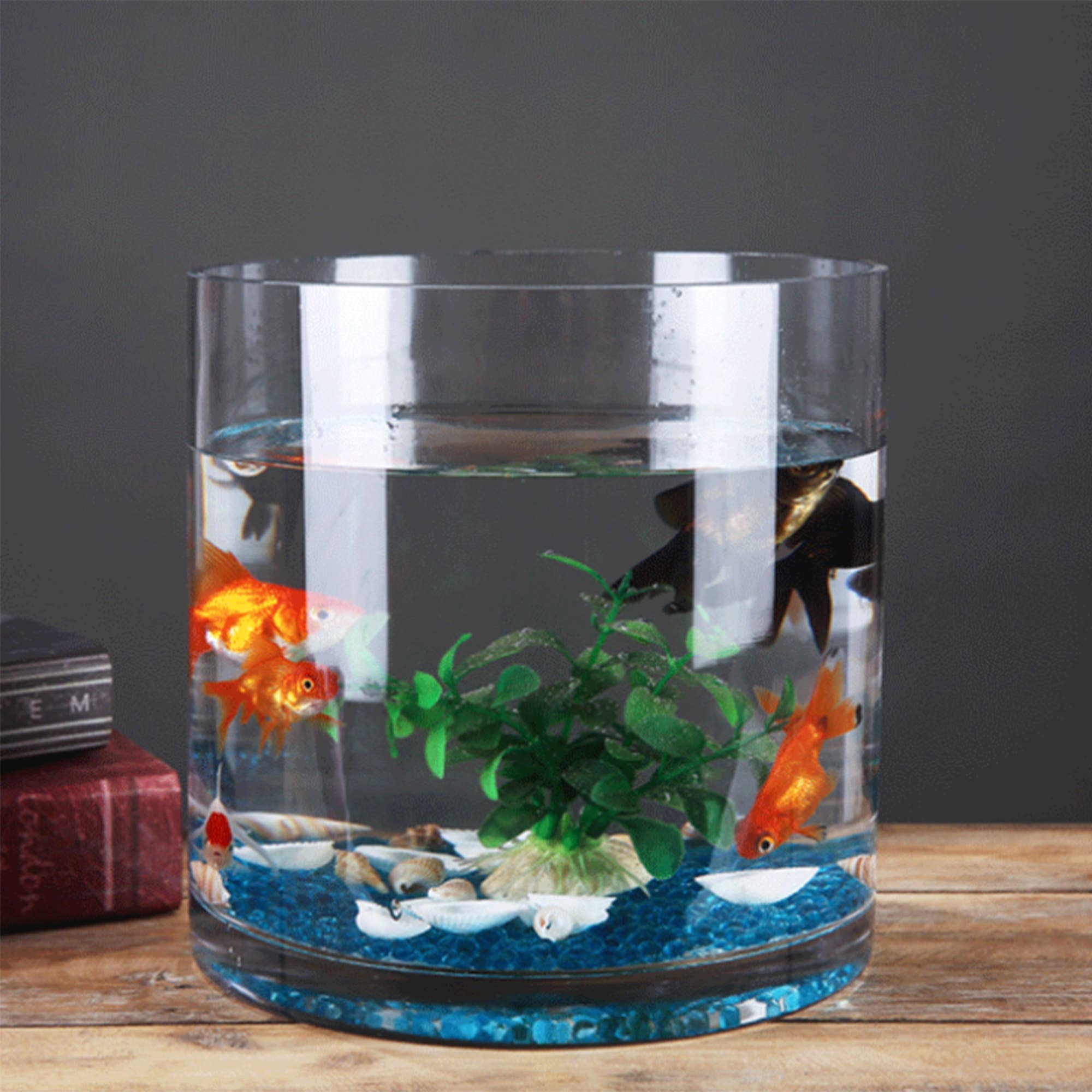 WGV International - Wholesale Vase - WGV Clear Cylinder Glass Vase - 8" x 8"H4