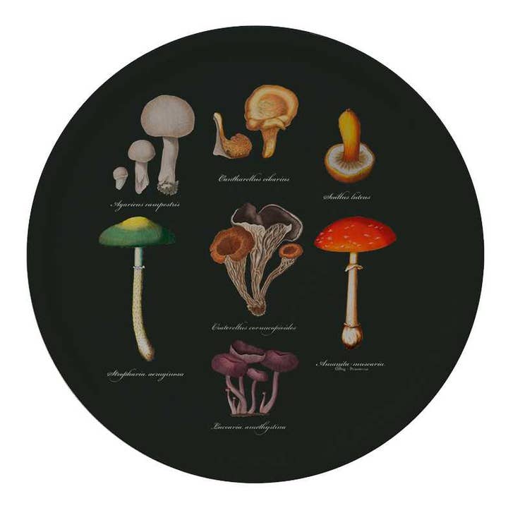Koustrupco - Wholesale Serving Tray - Mushroom tray -Ø38 birch veneer- made in Europe