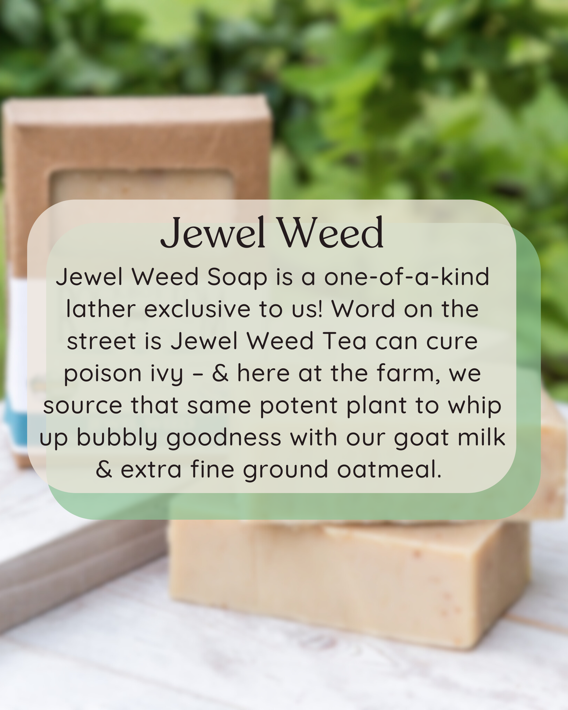 Rock Bottom Soap - Wholesale Bar Soap - Jewel Weed Goat Milk Soap-Unscented1