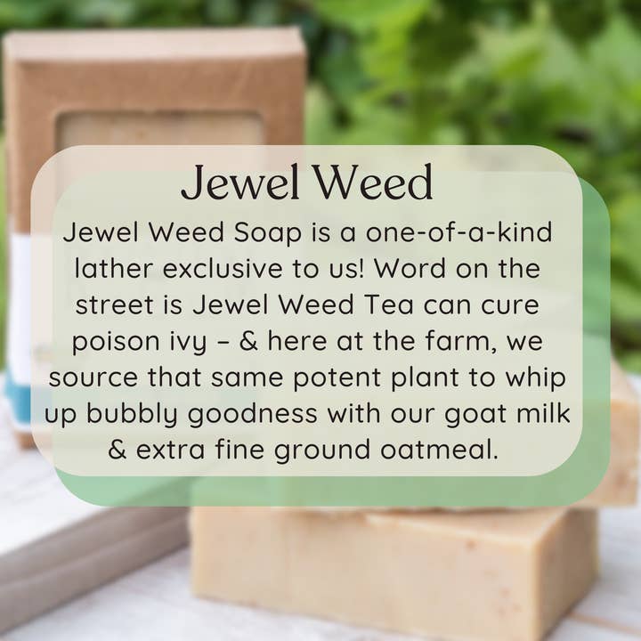 Rock Bottom Soap - Wholesale Bar Soap - Jewel Weed Goat Milk Soap-Unscented1
