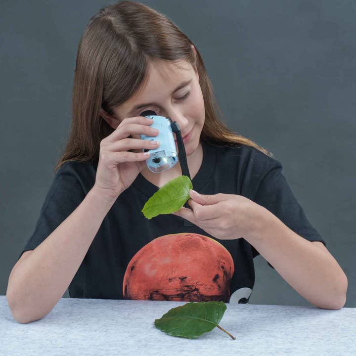 Heebie Jeebies - Wholesale Brain Game - Kids - PocketScope Scientific Tool