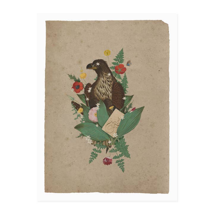 Ariel for engroshandel hos Open Sea