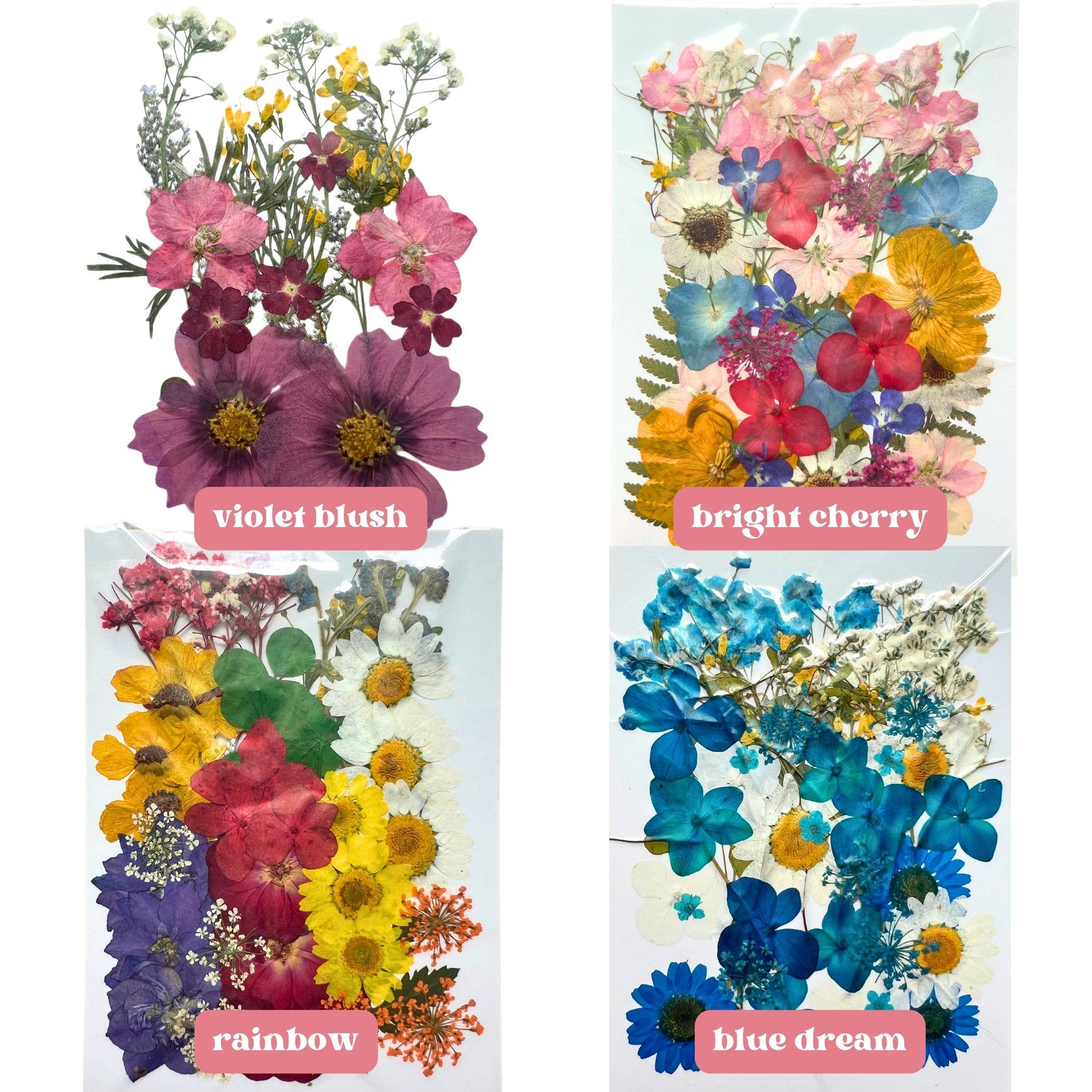 Petal And Press – Kit de artesanato DIY por atacado – Kit de arte DIY com flores prensadas: Quadro flutuante com flores secas2