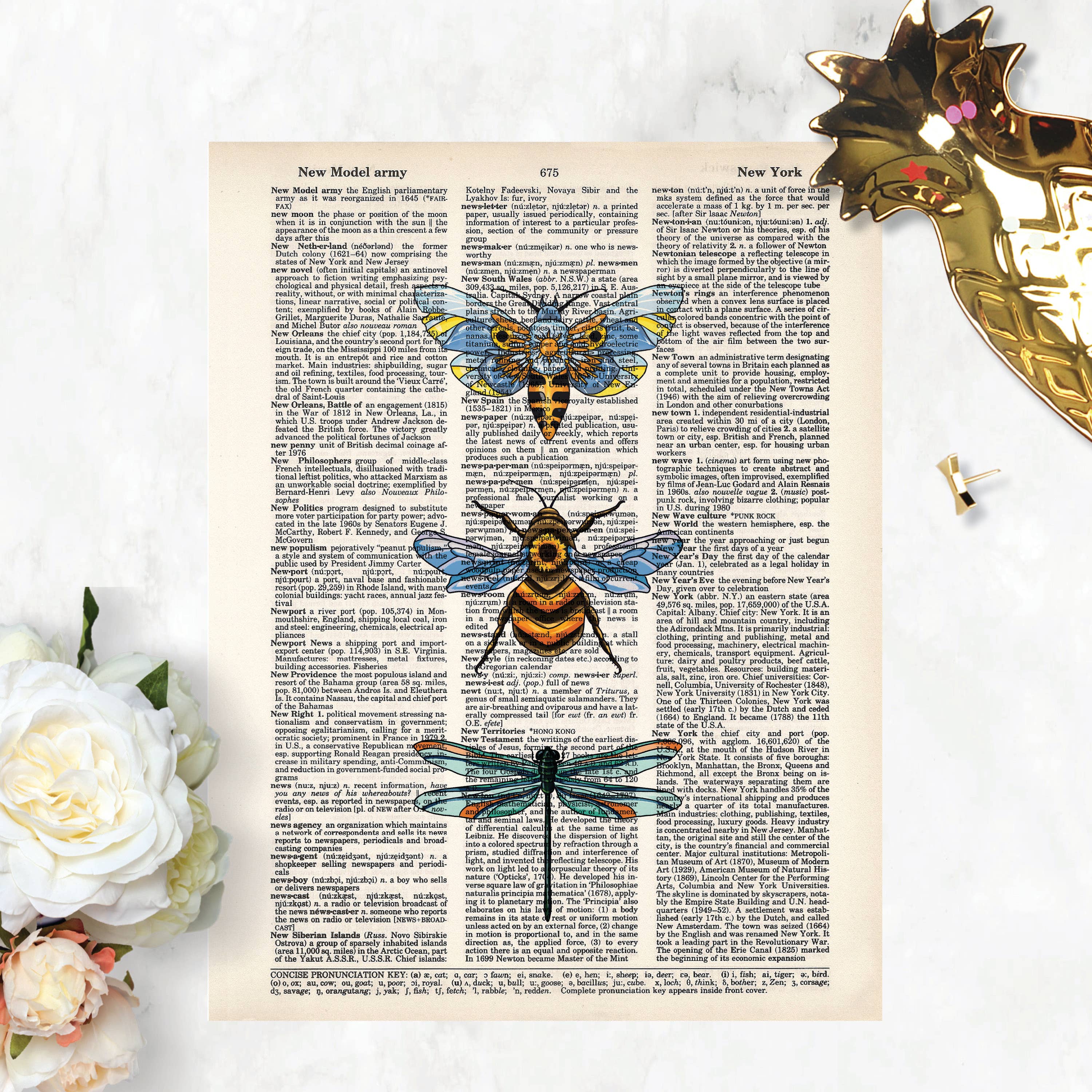 Blue Twist & Co – wholesale Art print – Bugs Sweet Moth Bee and Dragonfly Dictionary Page Art1