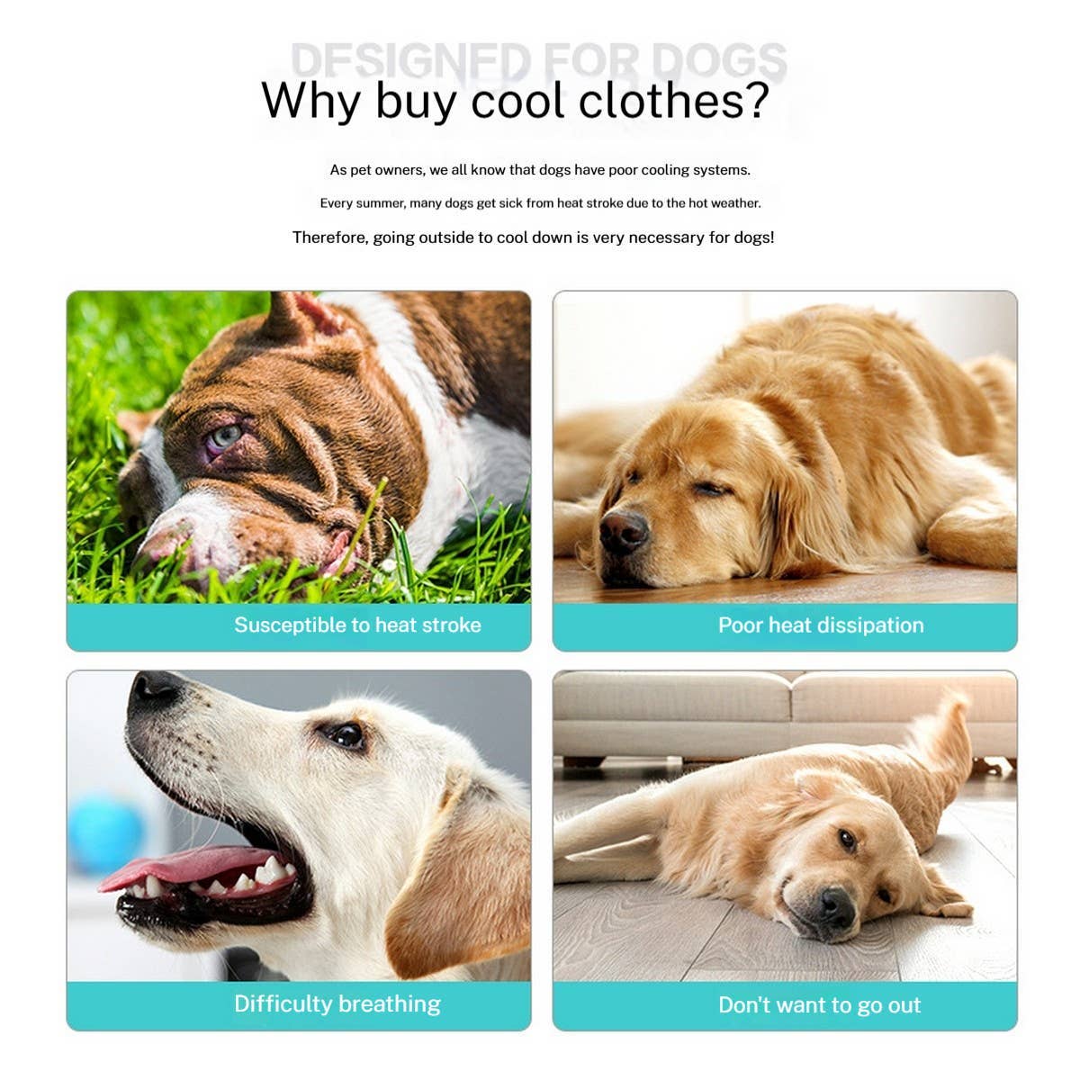 PAWPAWwholesale - Wholesale Pet Costume - Cat/Dog - Cooling Summer Vest for Dogs – Breathable_CWMM74592