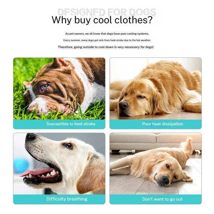 PAWPAWwholesale - Wholesale Pet Costume - Cat/Dog - Cooling Summer Vest for Dogs – Breathable_CWMM74592