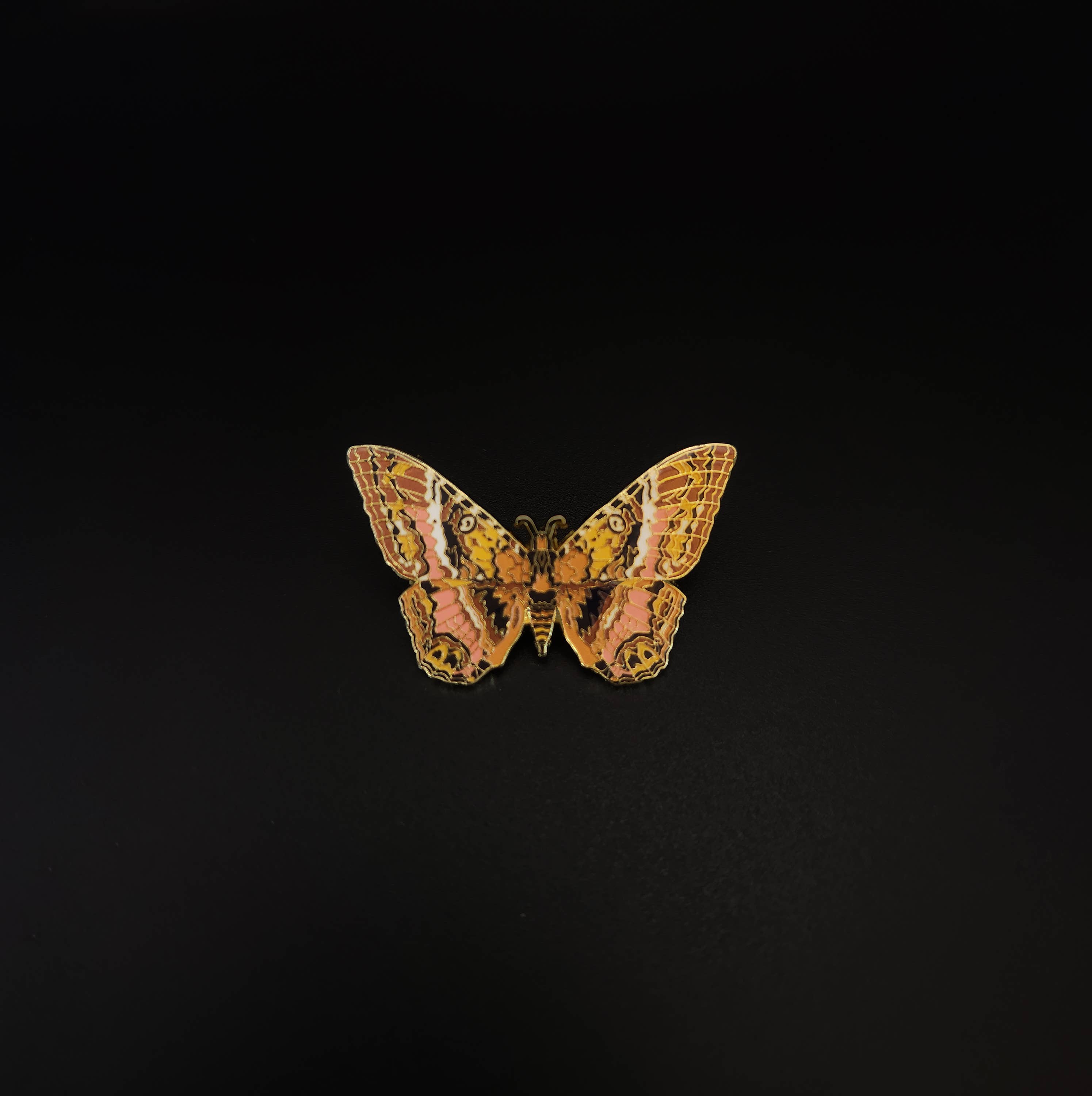 Pinsects - Wholesale Lapel Pin/Button - Black Witch Moth Educational Insect Enamel Pin3