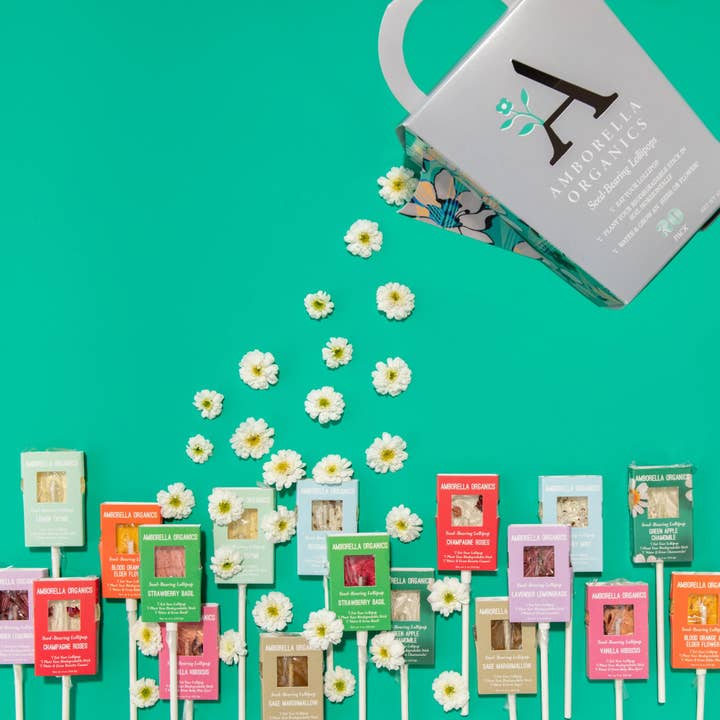 Amborella Organics - Wholesale Lollipop - Watering Can-Dy 20 Pack (Eat, Plant & Grow a Herb/Flower)1