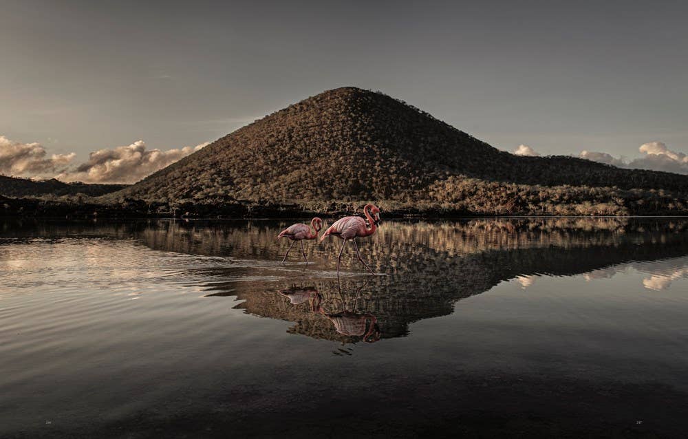 W. W. Norton - Wholesale Nature & Outdoors - Wild Ocean: A Journey to the Earth's Last Wild Coasts12
