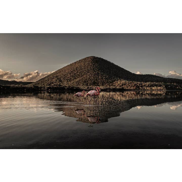 W. W. Norton - Wholesale Nature & Outdoors - Wild Ocean: A Journey to the Earth's Last Wild Coasts12