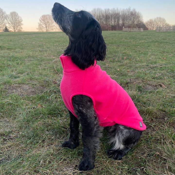 Doghouse - Wholesale Pet Sweater - Dog - Medium Breed Dog Fleece Jumper