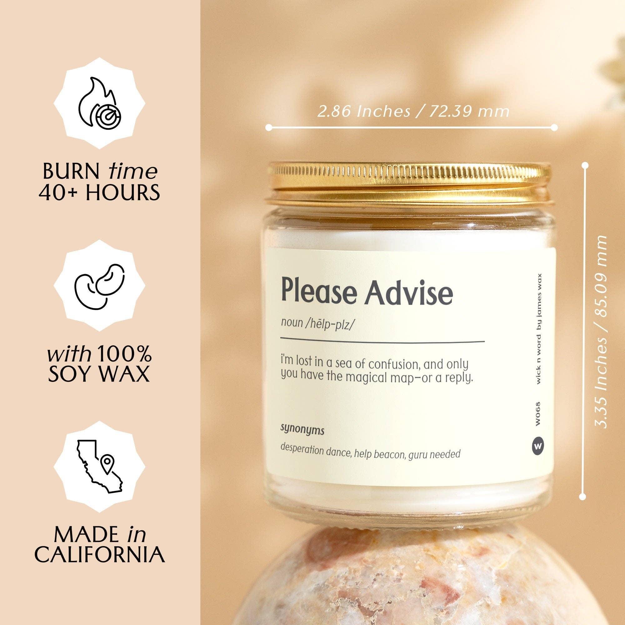 Wick n Word - Wholesale Jar/Filled Candle - Personalized Coworker Gift "Please Advise" Definition Candle Gift For Coworker Funny Office Surprise Gift Holiday Gift W0683