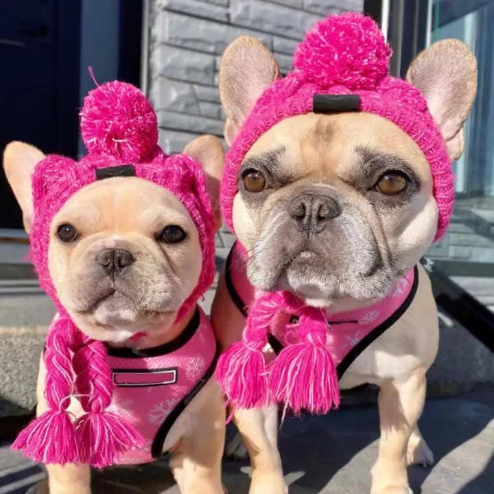 PAWPAWwholesale - Wholesale Pet Hat - Dog - Winter Warm Pet Hat for Cats Dogs Frenchie_CWMM108204