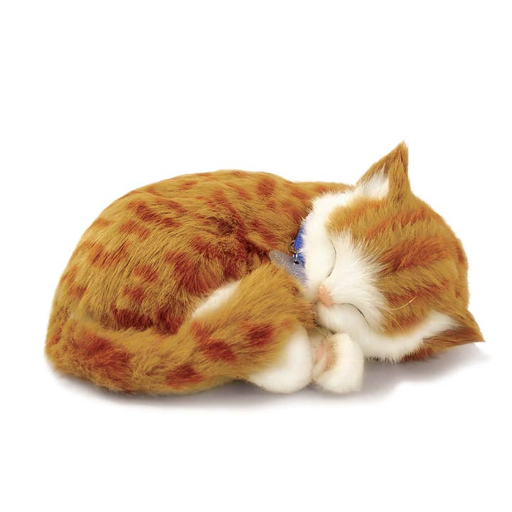 88Unlimited/Perfect Petzzz - Wholesale Stuffed/Plush Toy - Kids & Baby - 18Original - Orange Tabby Kitten