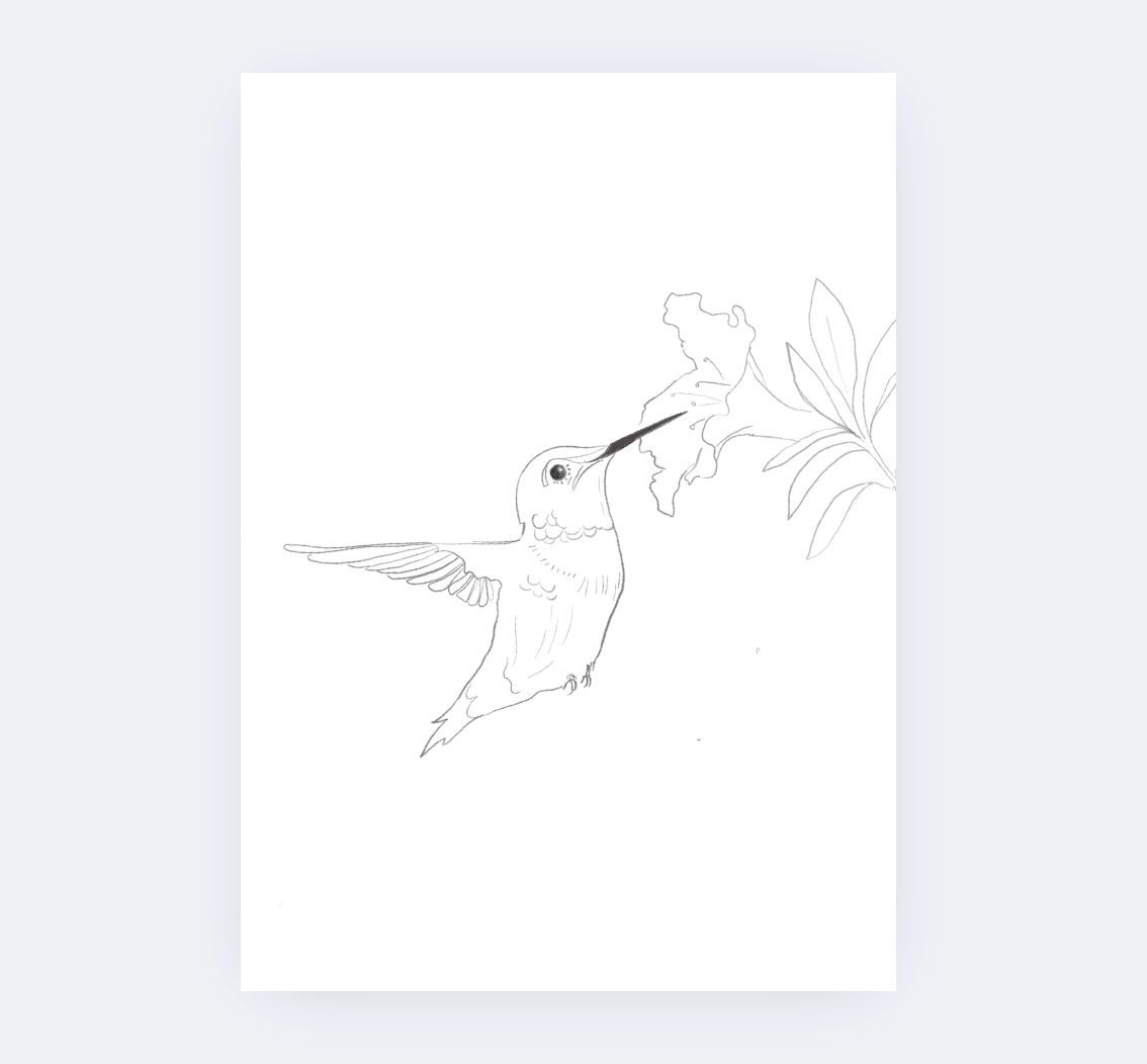 Sarah Ruth Frey - Wholesale Sketchbook/Sketchpad - Field Notes Paintable Pages | Watercoloring Set4