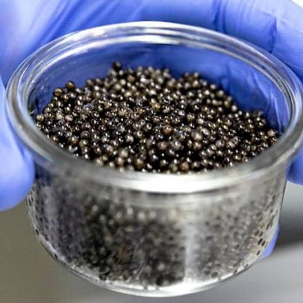 Delicatessen Spanish Food – Peixe/frutos do mar por atacado – Caviar Sturia Oscietra - Lata de 100 g2