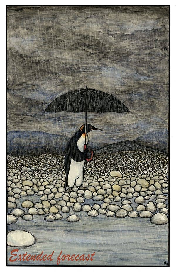 Ricardo Levins Morales Art Studio - Wholesale Stationery/Notecard Set - Conscious Critters Card Pack - Set of 128