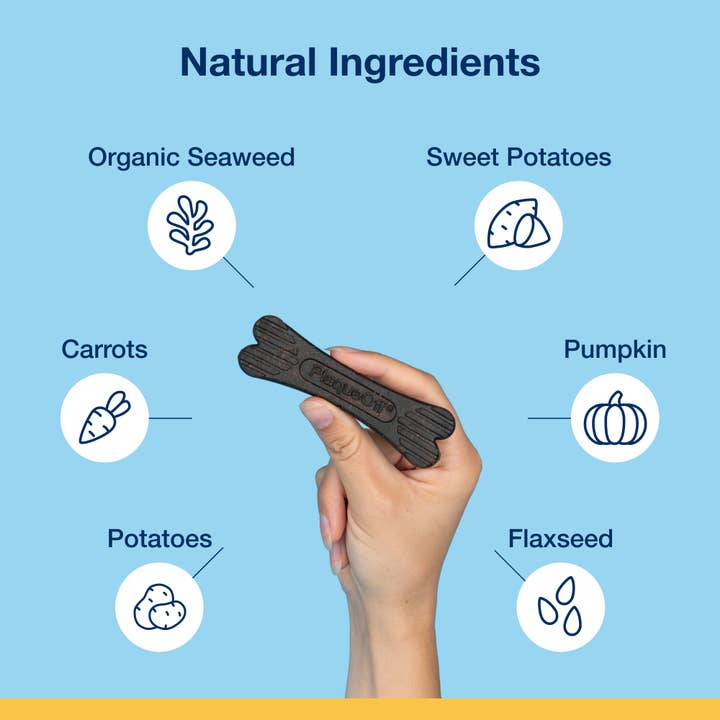 ProDen PlaqueOff - Wholesale Pet Supplement - Dog - ProDen PlaqueOff® Dental Care Bones - Vegetable Fusion1