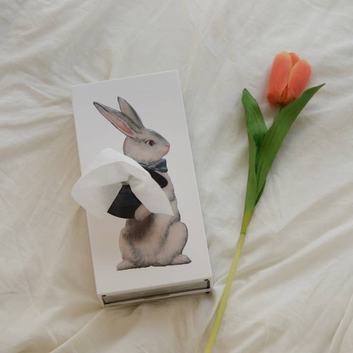 Beyond123 – wholesale Näsdukslåda – Wonder Rabbit vävnadslåda3