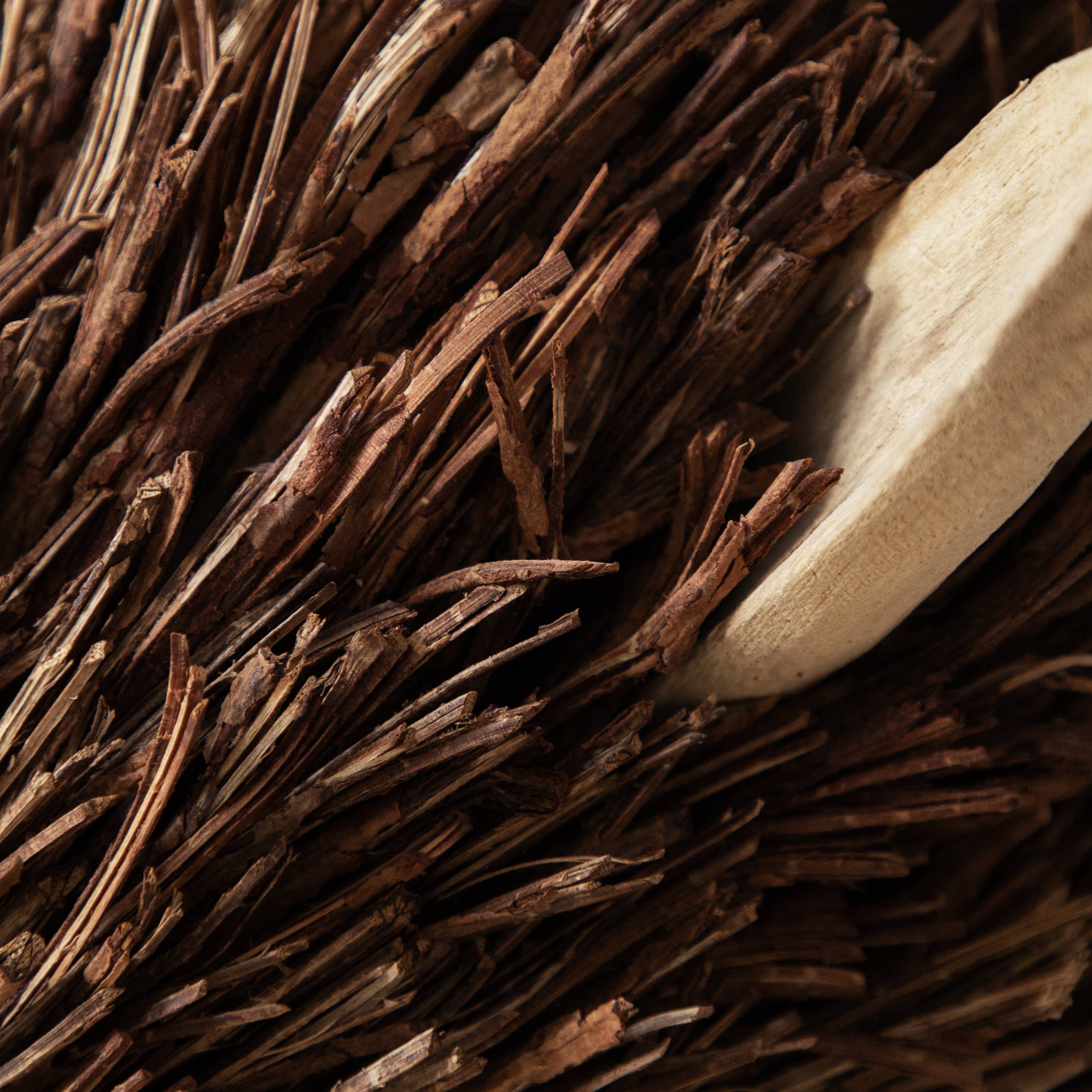 Marrón Escultura de madera de ciervo de pie de Stirling, color marrón de venta al por mayor en Faire5