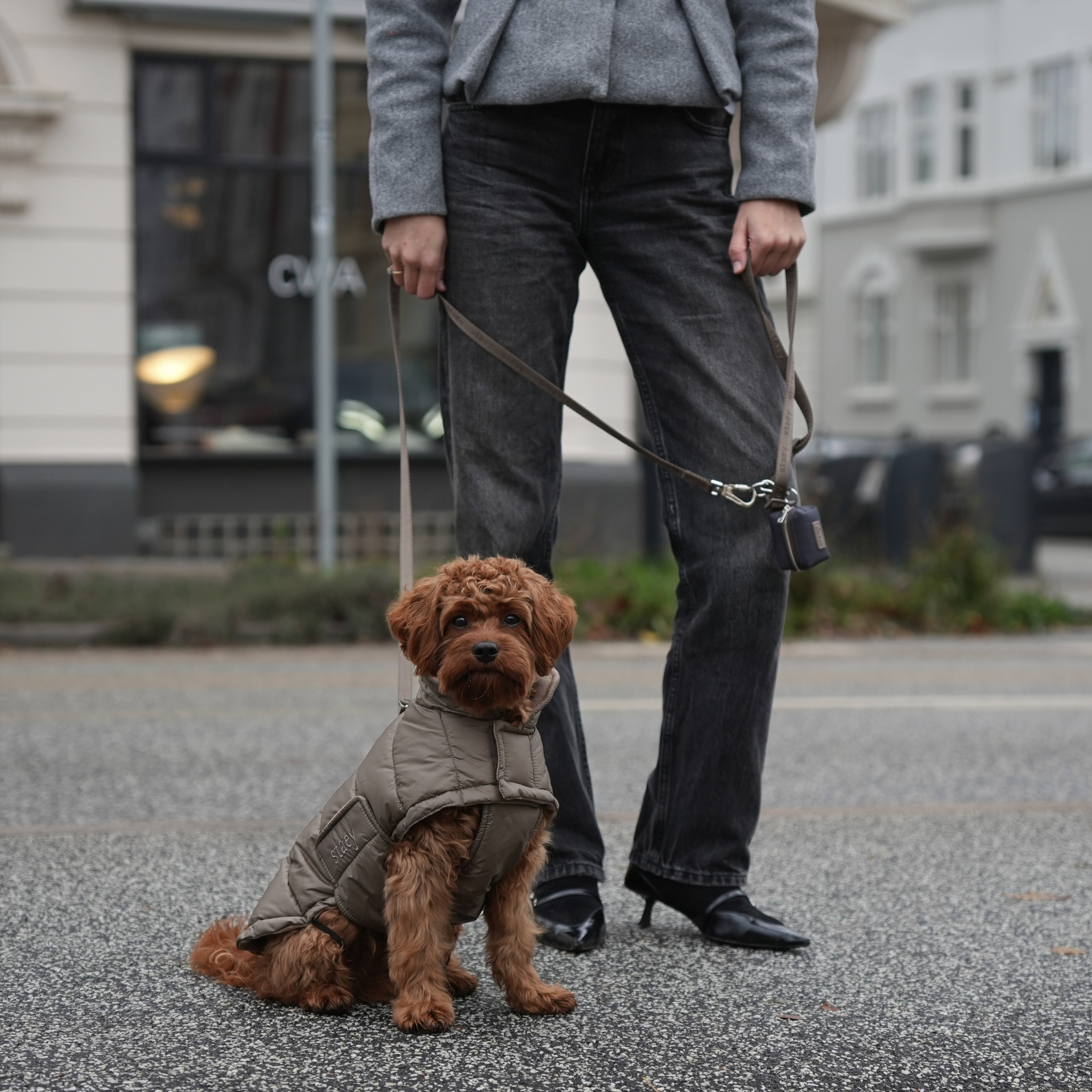 Staey - Wholesale Hondenjack - Hond - Nora Hondenjas | Taupe3