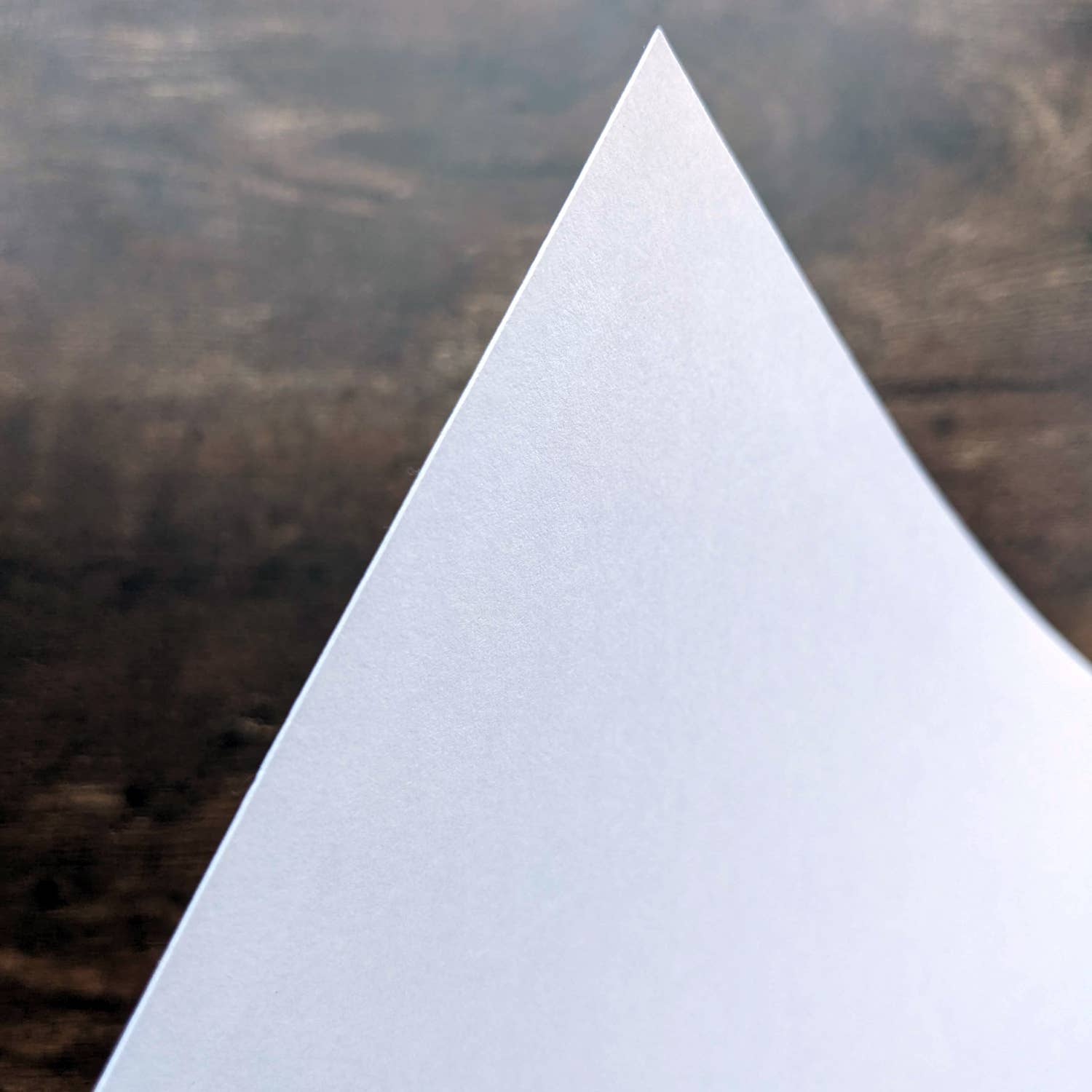 Telegramme Paper Co. - Wholesale Art Print - Brixton Academy - Giclée Print2