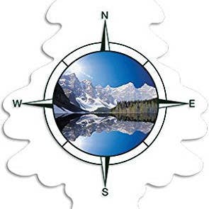 Shop The King - Wholesale Air Freshener - Little Trees Fresh Tree True North Single Box1