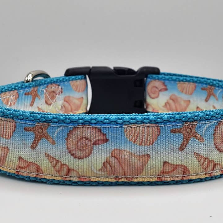 Collier pour chien Seashell de 1 po pour la vente par Scuttlebutt's Boutique
