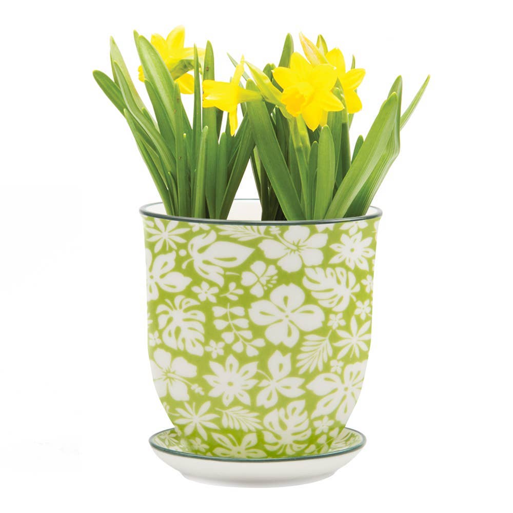 Chive UK – Großhandel Blumentopf – Liberte 3 - Keramik-Blumentopf mit Untersetzer und Abflussloch3