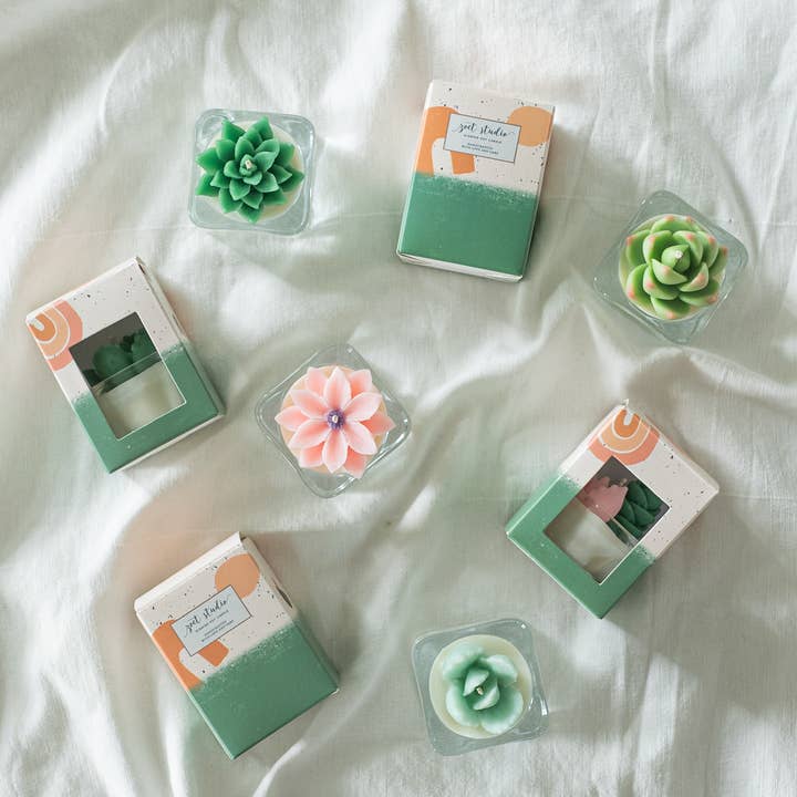 ZOETSTUDIO - Wholesale Tea Light Candles - Succulent Tealight Candles | Soy Blend Tealight Candle