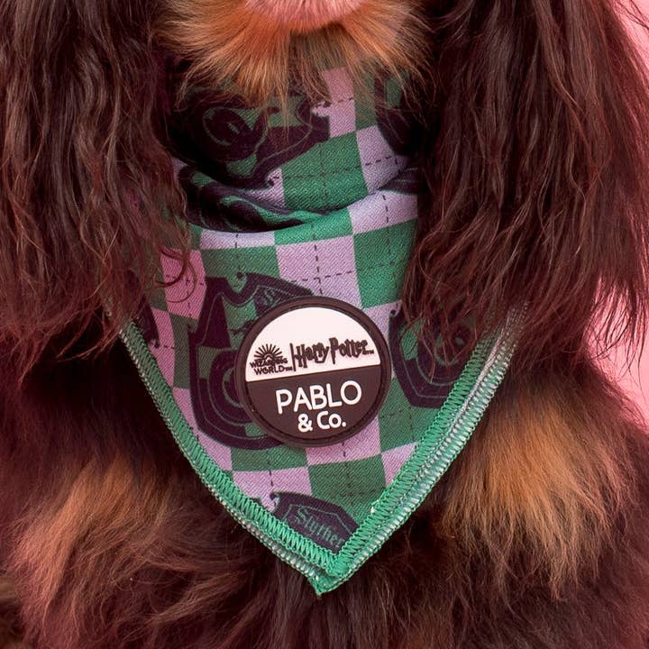 Harry Potter - Serpeverde: bandana per cani per la vendita all'ingrosso da parte di Pablo & Co. Boutique