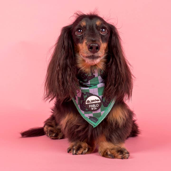 Pablo & Co. Boutique - Wholesale Pet Bandana - Dog - Harry Potter - Slytherin: Dog Bandana
