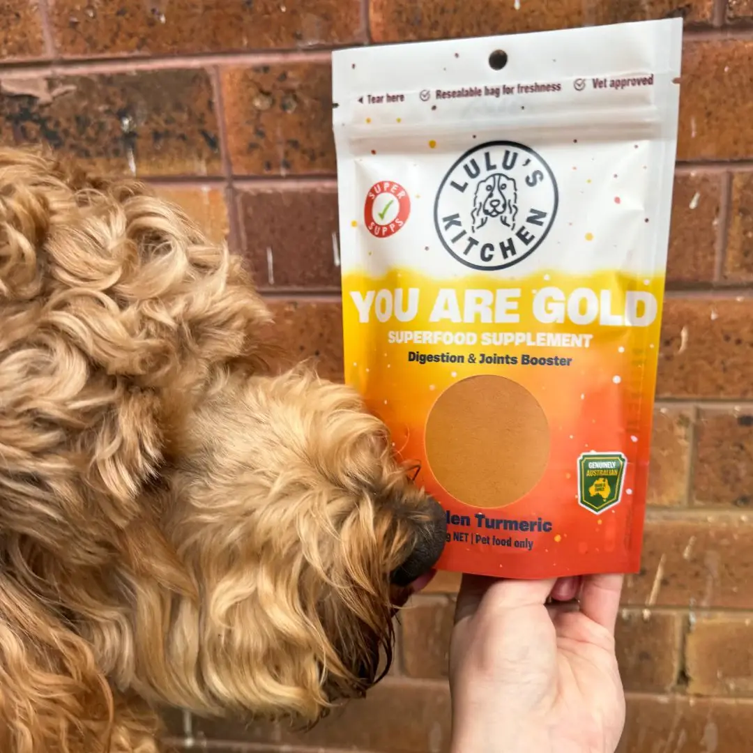 Rover Pet Products - Wholesale Pet food – Dog - You Are Gold - Digestion & Joints Booster Supp1