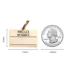 Two Tails Pet Company - Vente Médaille pour collier – chien - Médaille d'identification pour animal « Hello My Name Is »3