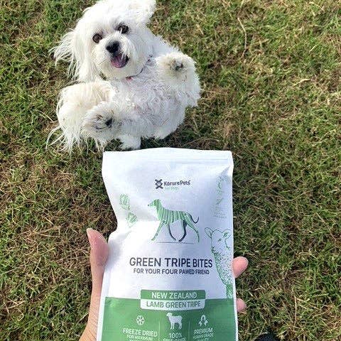 Complément nutritionnel à la panse verte pour chien pour la vente par Kōrure Pets