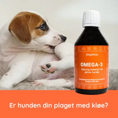 DogNikita - Wholesale Pet Supplement - Dog - DogNikita Omega-3 - 300 ml1