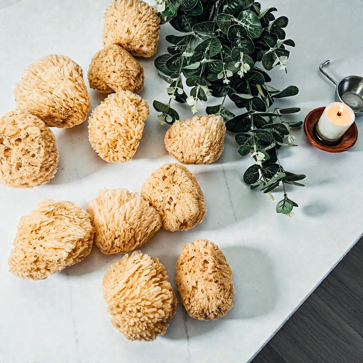 Gia Roma - Wholesale Bath Pouf/Sponge - Dead Sea Sponge, All Natural Body Wash Loofah 4-5"10