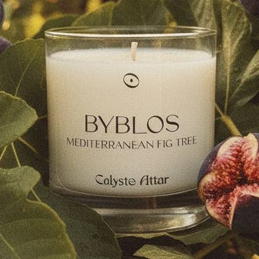 BYBLOS for wholesale by calysto attar