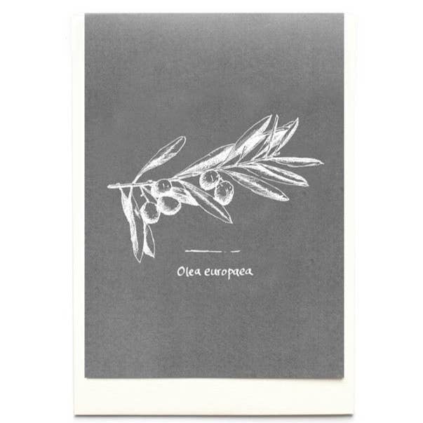 Tavolinas - Wholesale Everyday Greeting Card - Greeting/menu card olive, mint green, slate, ochre, ice blue, dusky pink or lavender