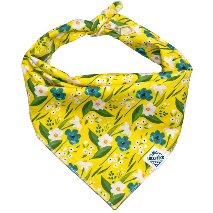 LUCK OF TUCK – Engroshandel Bandana - Hund – Cosmo Hund Bandana