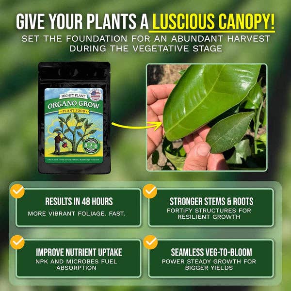Mighty Plant - Wholesale Fertilizer - Organo Grow™1